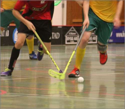 Zentraleinrichtung Hochschulsport Freie Universitat Berlin